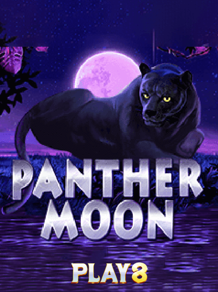 Discover the Best Promotions at CasinoElite for New Players