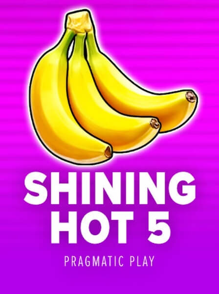 MiniCasino App: An Innovative Approach to Mobile Gambling